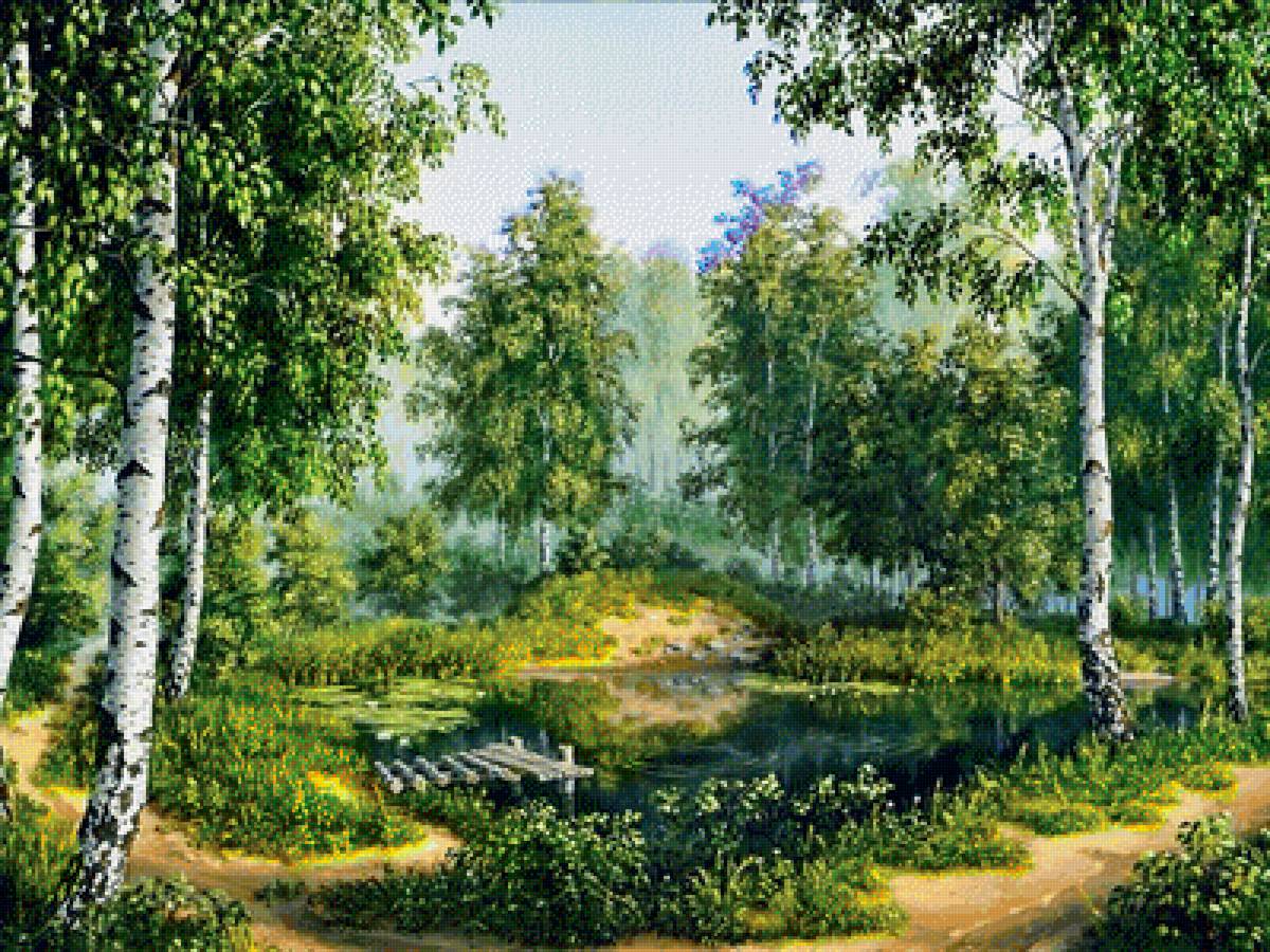 Березы - береза, природа - предпросмотр