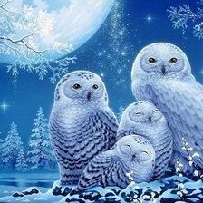 Схема вышивки «Afamilha de corujas.»