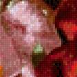 Предпросмотр схемы вышивки «розы» (№2237840)