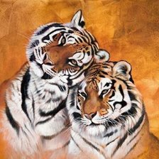 Схема вышивки «Casal de tigre.»