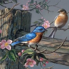 Схема вышивки «птицы»