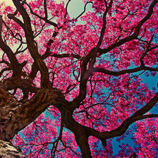 Схема вышивки «Test»