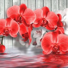 Схема вышивки «орхидея»