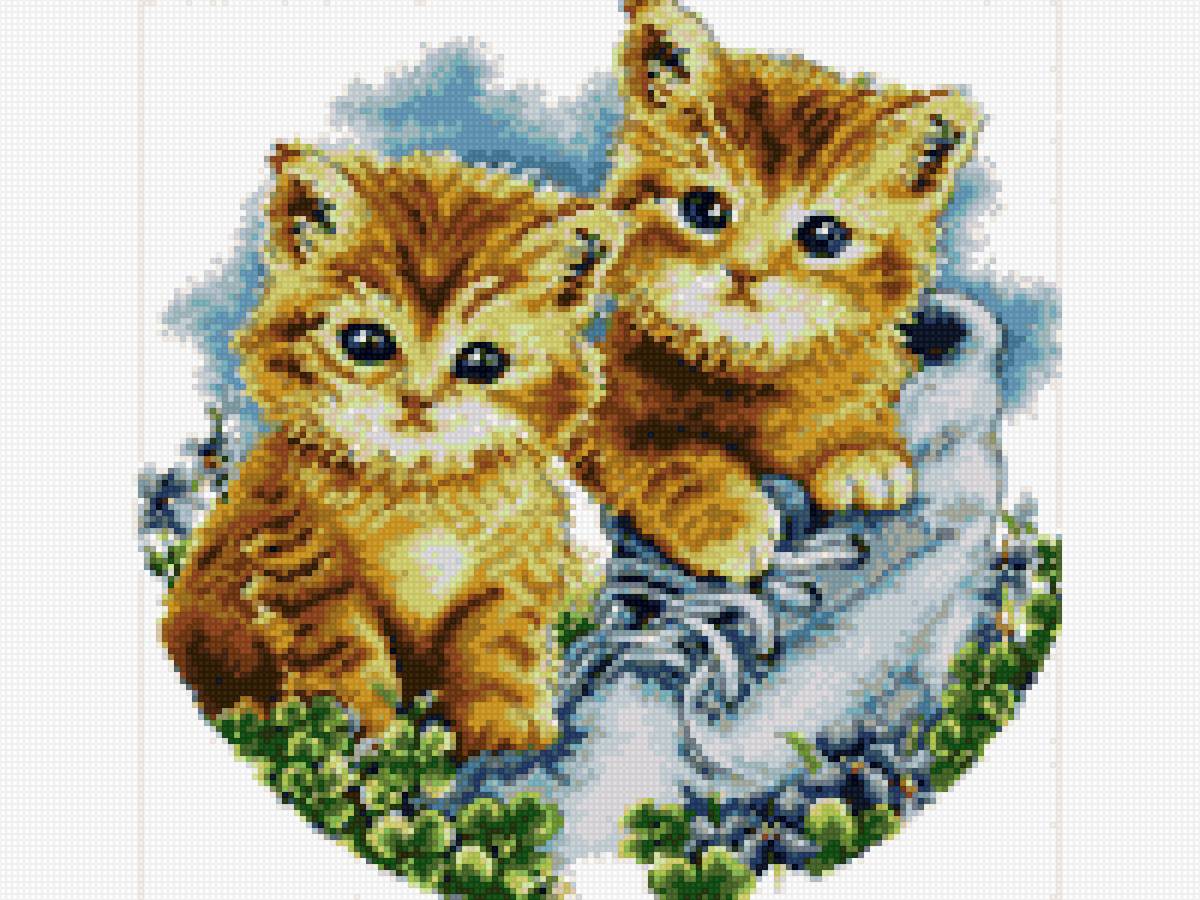 котики - предпросмотр