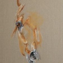 Схема вышивки «horse 3»