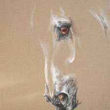 Схема вышивки «horse 5»