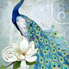 Схема вышивки «Триптих Павлины часть 3»