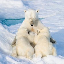 Мать и дети