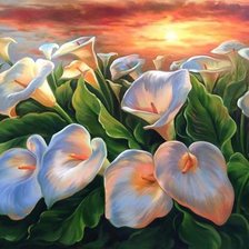 Схема вышивки «CALAS»