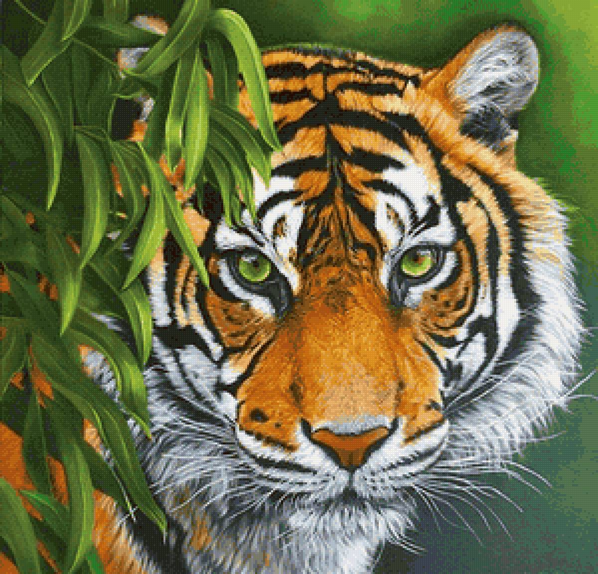 дикие - предпросмотр