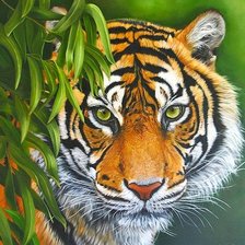 Схема вышивки «дикие»