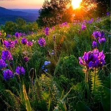 Схема вышивки «сиреневый закат»