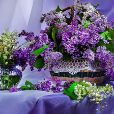 Схема вышивки «№2239946»