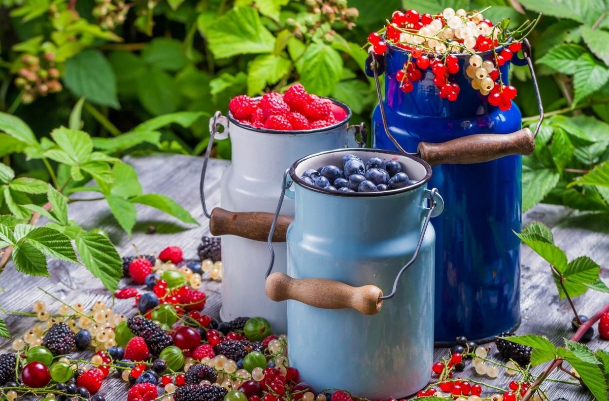 №2239978 - оригинал