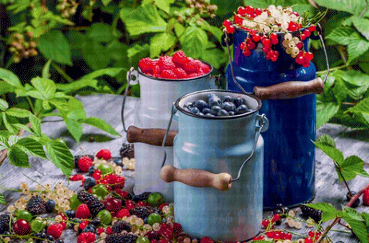 №2239978 - предпросмотр