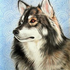 Схема вышивки «Собака»