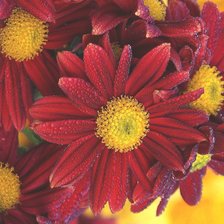 Схема вышивки «№2240241»