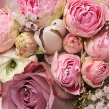 Схема вышивки «пионы»