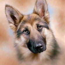 Схема вышивки «Овчарка»