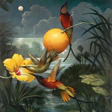 Схема вышивки «калибри»