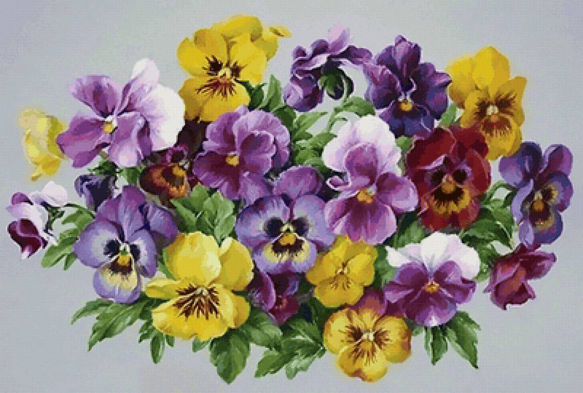 АНЮТИНЫ ГЛАЗКИ - цветы - предпросмотр