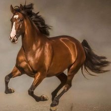 Схема вышивки «№2240882»