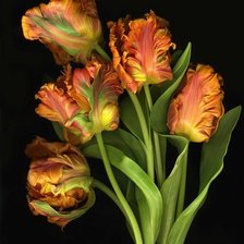 Схема вышивки «цветы»