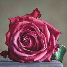 Схема вышивки «№2241302»