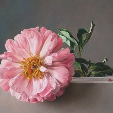 Схема вышивки «№2241304»