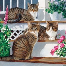 Схема вышивки «кошки»