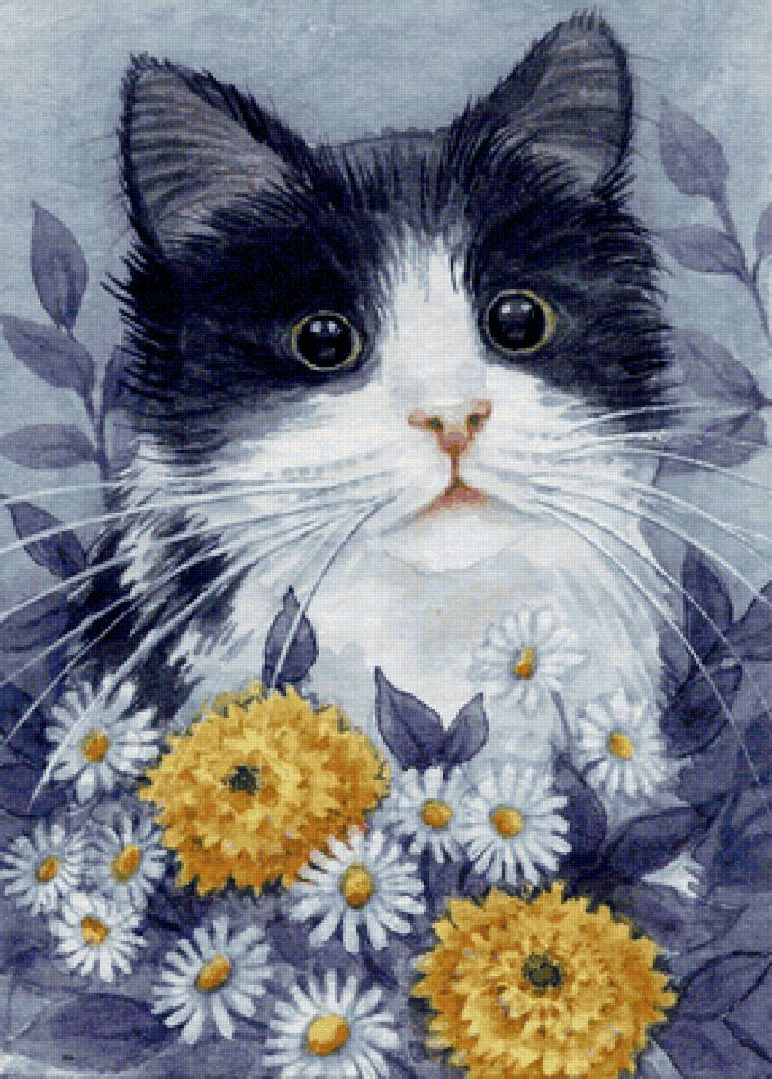 котейка - кот - предпросмотр