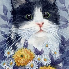 Схема вышивки «котейка»