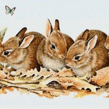 Схема вышивки «крольчата»