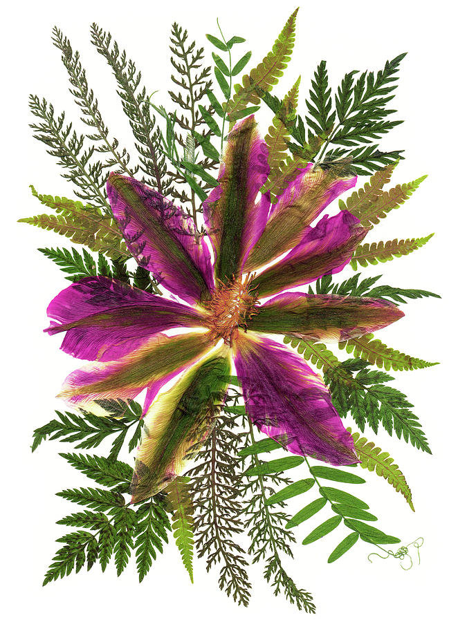 №2241435 - оригинал