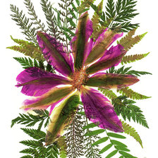 Схема вышивки «№2241435»