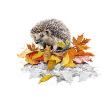 Схема вышивки «№2241442»