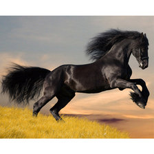 Схема вышивки «Конь»