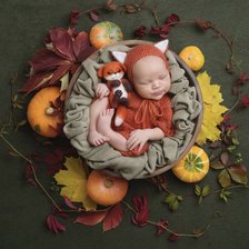 Схема вышивки «Тимон»