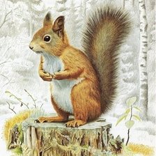 Схема вышивки «Белка»