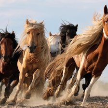 Схема вышивки «Табун лошадей»