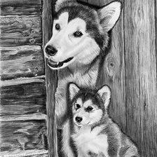 Схема вышивки «Монохром»