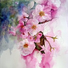 Схема вышивки «Розовые»