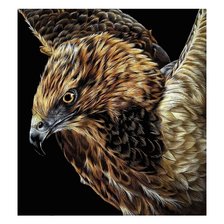 Схема вышивки «Взгляд хищника.»