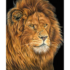 Схема вышивки «Царь зверей.»