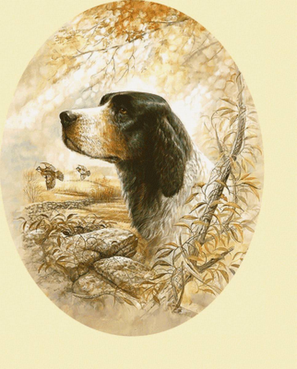 Серия "Собаки". - животные, охота, собаки - предпросмотр