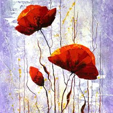 Схема вышивки «Маки»