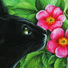 Схема вышивки «Кот И. Гармашовой»