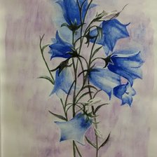 Схема вышивки «колокольчики»