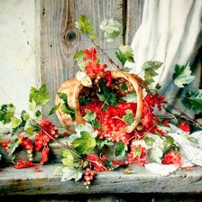 Схема вышивки «Currants»