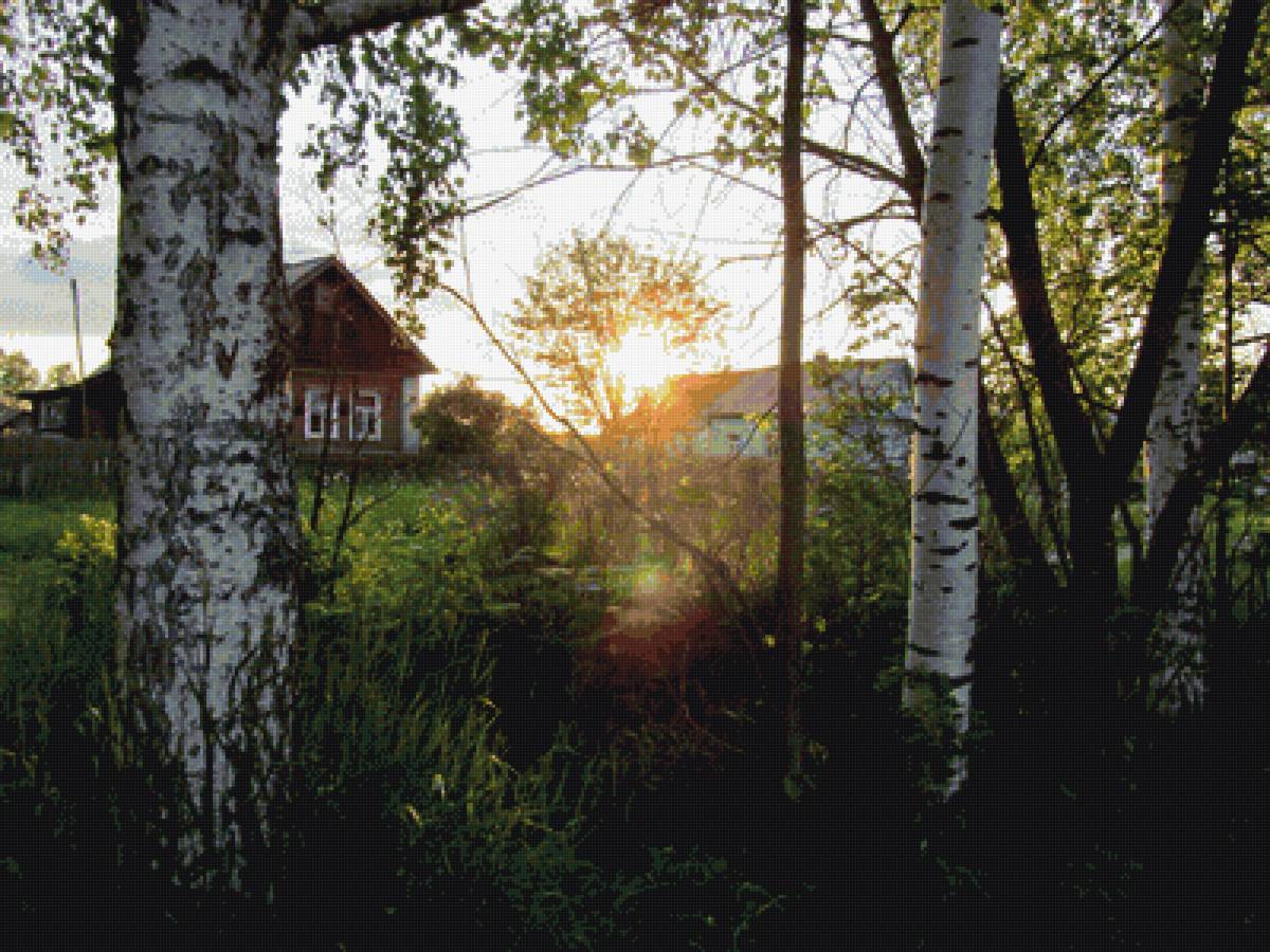 закат в деревне - березы, дом, пнк, лето, закат, фото, деревня - предпросмотр